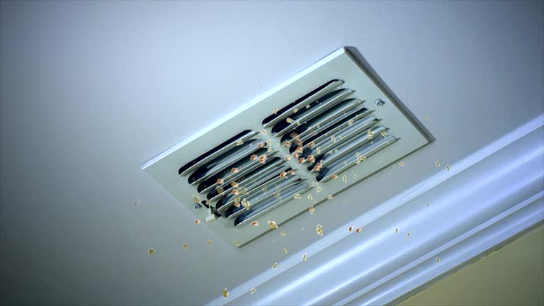 Best Local Air Duct Cleaning Services  in Clinton, WI